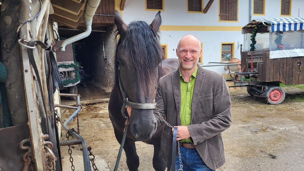 Zwischen Spessart und Karwendel Brauereiross Bene Hasen hrl und