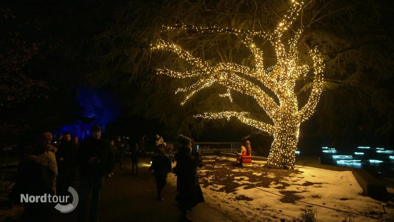 Nordtour Den Norden erleben Christmas Garden Hamburg Glitzerwelt im