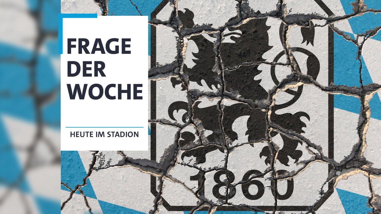 Fußball, 3. Liga: Freiburg II bei den Münchner Löwen ohne Chance