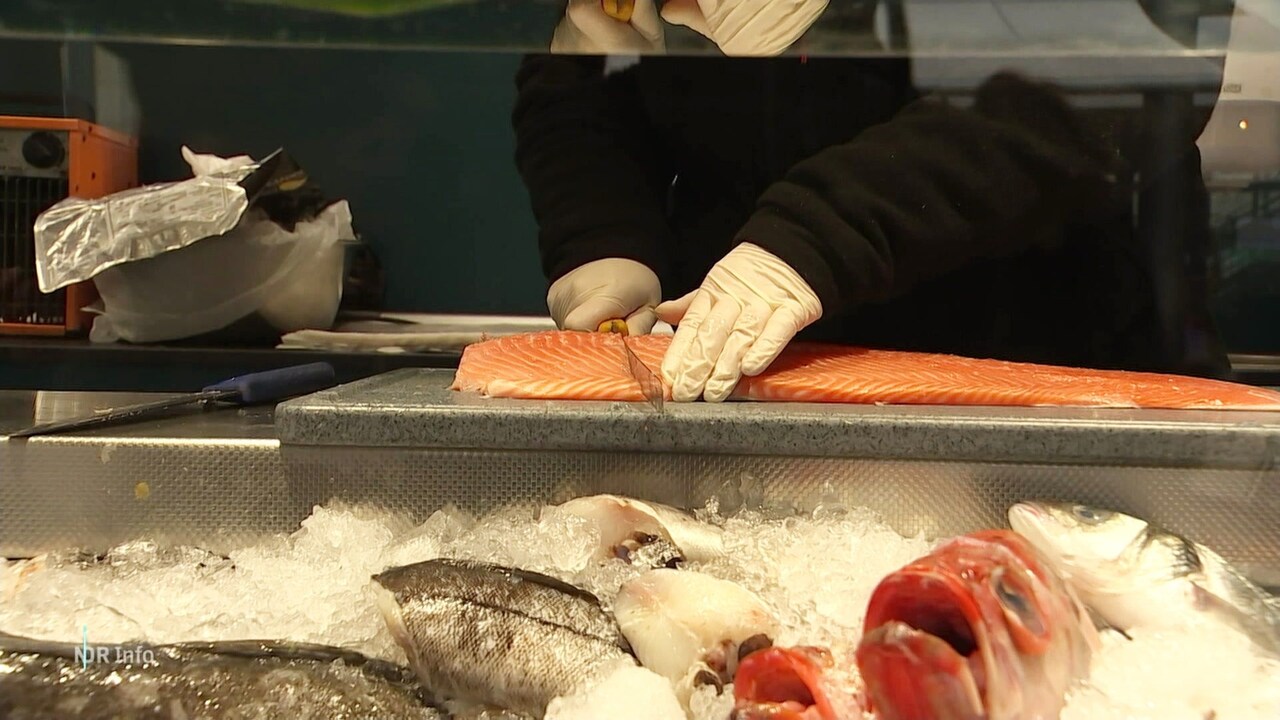 NDR Info 'End of Fish Day' Fischreserven in Deutschland erschöpft